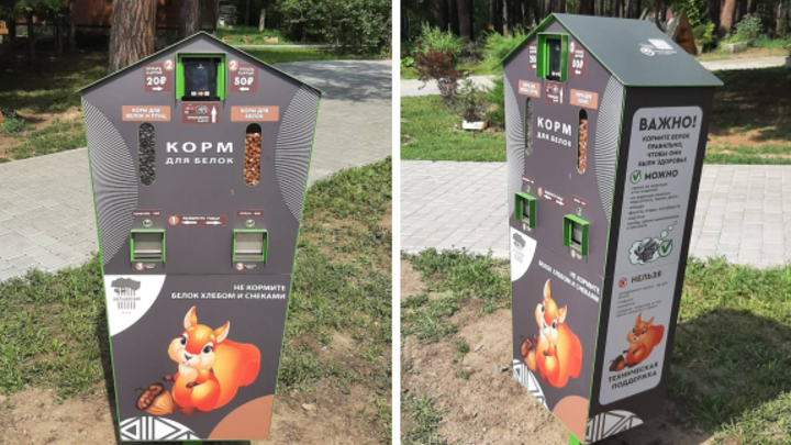 Автоматы для кормления белок и птиц появились в парках Новосибирска
