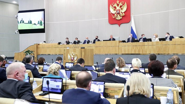 Вера Ганзя раскритиковала условия работы в Госдуме