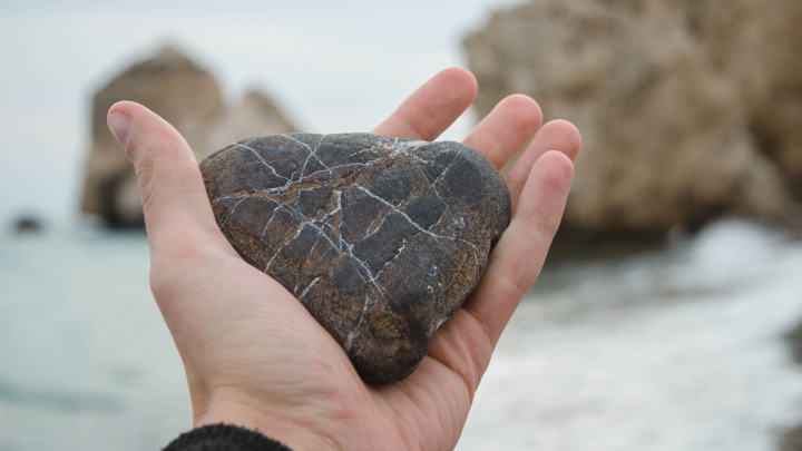 Бизнес на романтике. В Краснодаре продают Сердце океана за 7 миллионов рублей