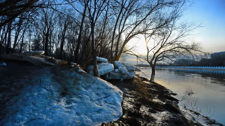 В Москве в декабре выросли подснежники