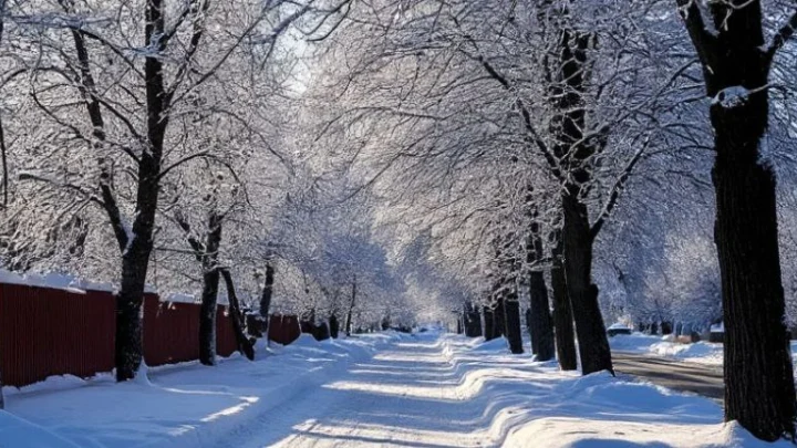 Лента.ру: Журналист Миронова заявила о выводе детей на мороз ради видео для главы Ахмата