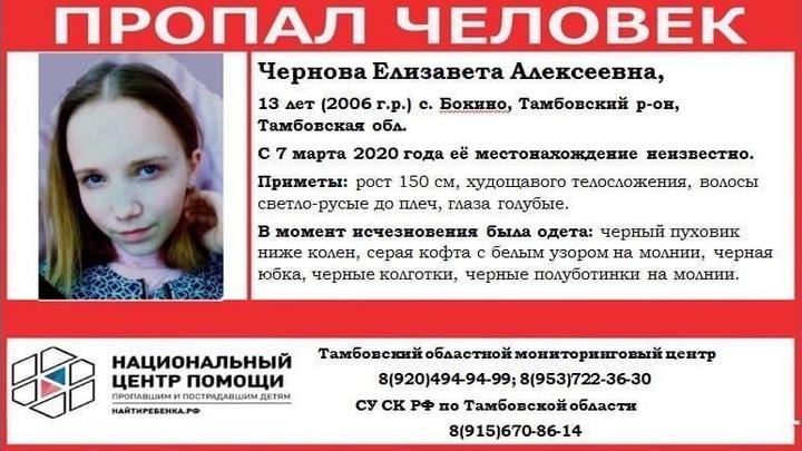 Слышали крик, а потом она исчезла: Под Тамбовом второй день разыскивают пропавшую девочку