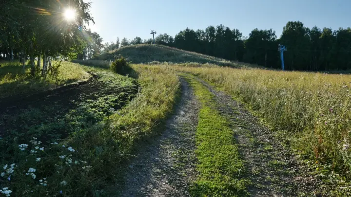 Стоимость картофеля поражает: Названы сроки понижения цен