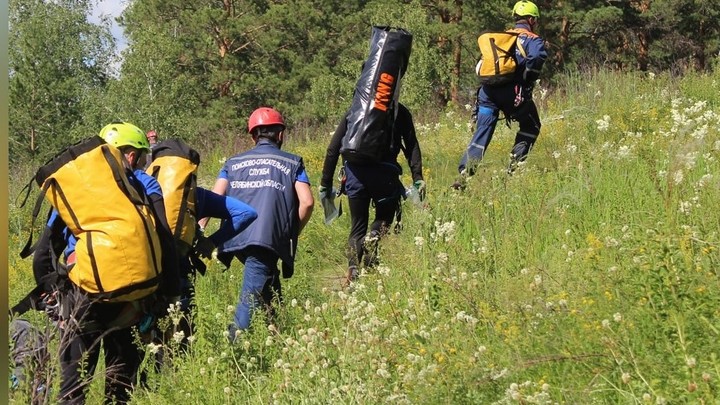 В Челябинской области пропала дачница по пути на садовый участок