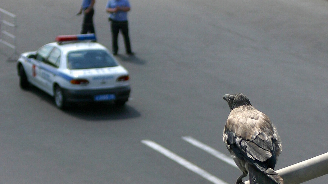 В результате аварии с автобусом в Дагестане погибли люди В результате аварии с автобусом в Дагестане погибли люди