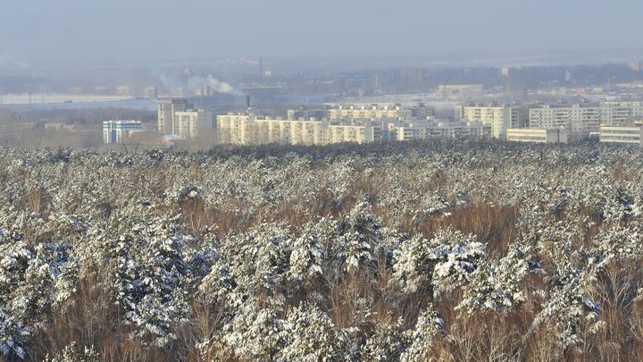Прокуратура запросила условный срок для бывшего главы СО РАН Асеева