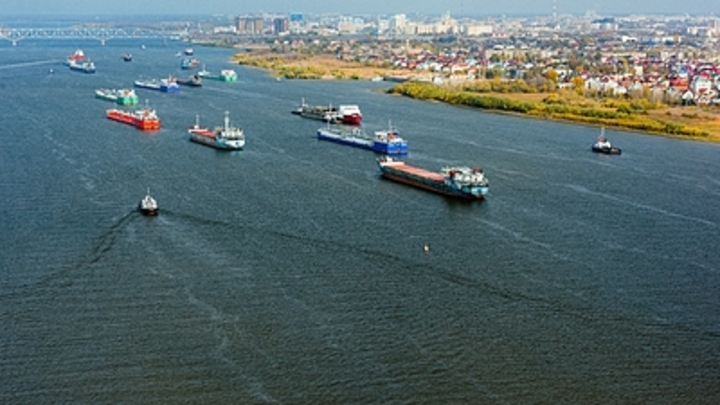 Россия готова бесплатно поставить удобрения в развивающиеся страны — Путин