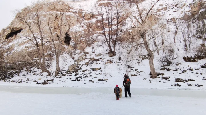 Зимы в Москве не будет еще две недели: Будет ли снег на Новый год?