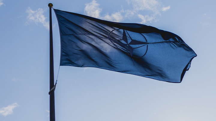 НАТО спонсирует акты террора против русских: Экс-офицер США готовит доказательства