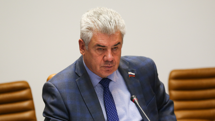 В Совфеде раскритиковали слова Шольца о мире на Украине на условиях Москвы