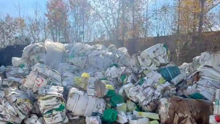 Свалку с номерами телефонов и СНИЛС устроила фирма депутата Думы Читы