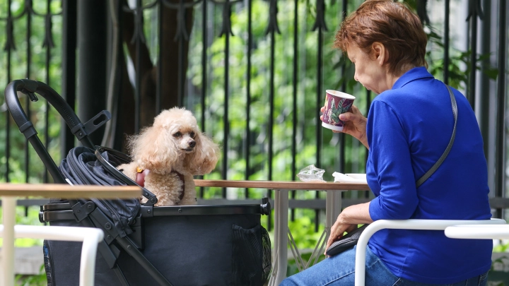 Число соискателей старше 45 лет выросло в полтора раза на рынке труда за год