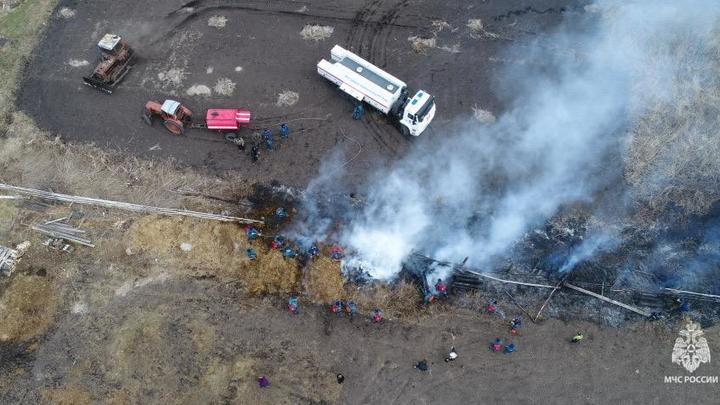 В Новосибирской области ликвидировали открытое горение в Кирзинском заказнике