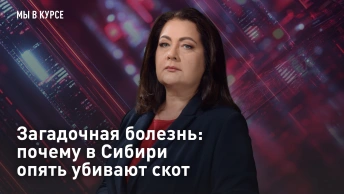 Загадочная болезнь: почему в Сибири опять убивают скот