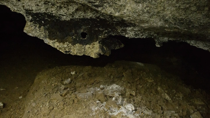 Ядовитое подземелье: в Сочи начали расчистку пещеры, заполненной опасным мусором