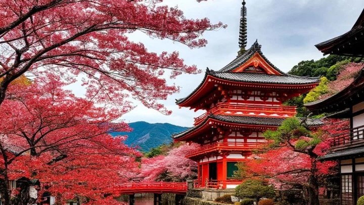 Япония на пороге перемен: власть женщины пробудила в стране воинственность