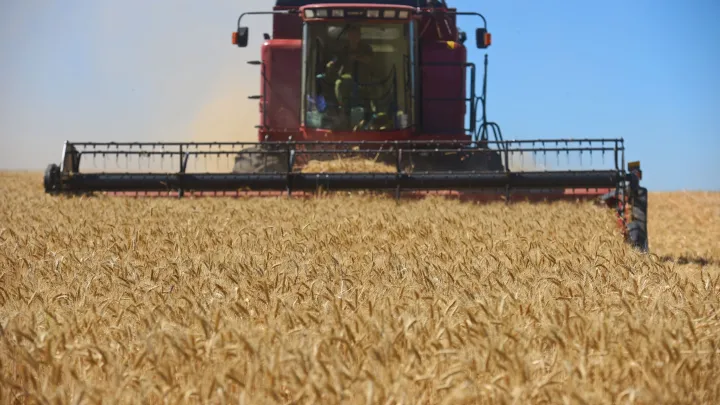 Брюссель в осаде тракторов: европейские фермеры устроили картофельную революцию