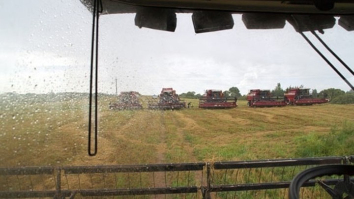 Для помощи аграриям с 10 сентября на территории Новосибирской области вводится режим чрезвычайной ситуации