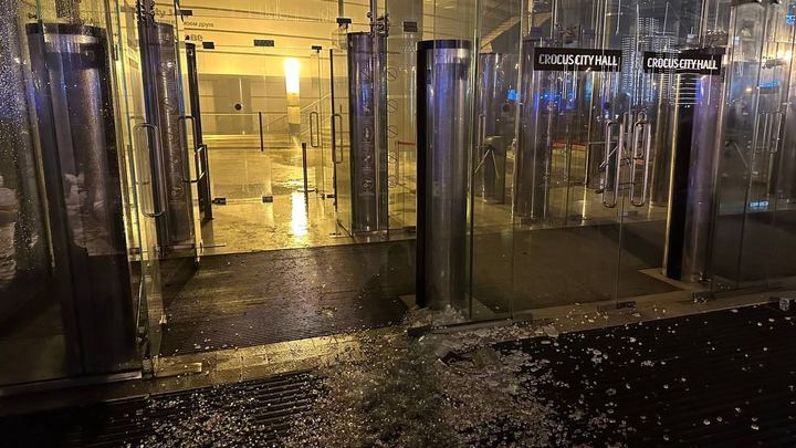 Кинолога из Новосибирска обвинили в мошенничестве после теракта в Крокус Сити Холле