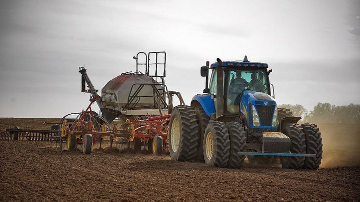 В Краснодарском крае план по севу озимых культур выполнили на 50%