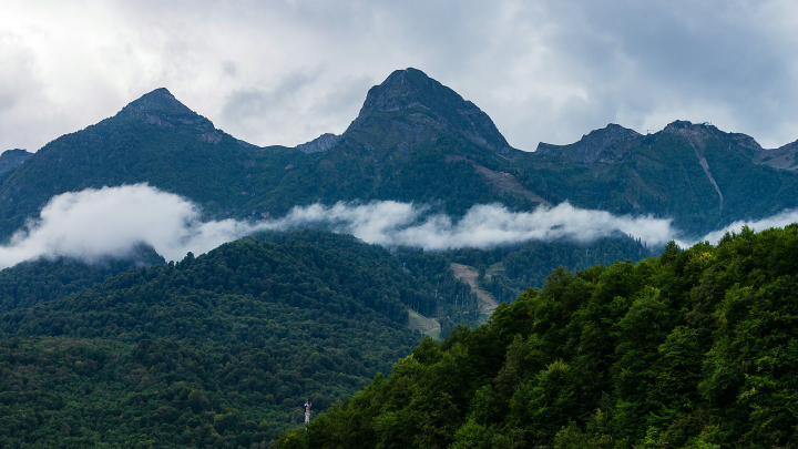 Характер коррупционный. У экс-депутата Сочи отобрали незаконно нажитого на 635 млн