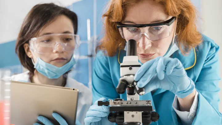 Nutrients: два природных вещества подавляют развитие раковых клеток