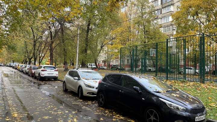 Грозит серьезный штраф: в Петербурге изменятся правила парковки авто у домов