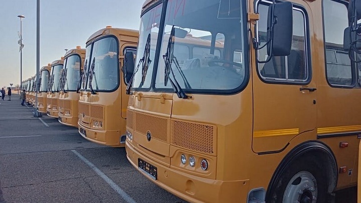 Школы Кубани получили 55 новых автобусов