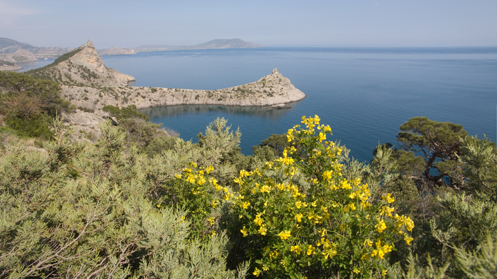 Российские курорты заманивают туристов. Названы цены