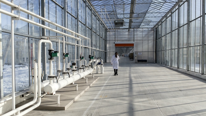 В Краснодаре для развития импортозамещающей промышленности разработают единый проект планировки