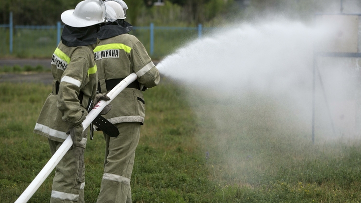 В Геленджике ликвидировали возгорание лесной подстилки на площади 1,6 Га