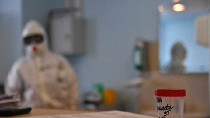 Молюсь за русских, dasvidanya!: COVID-прогноз экспертов Fox News взбунтовал американцев