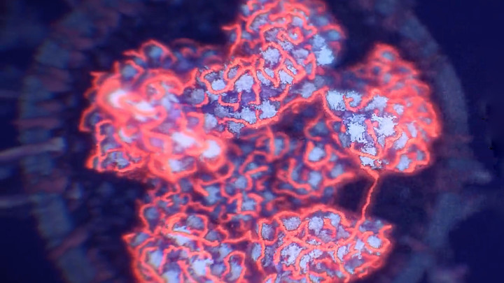 Универсальное лекарство от COVID обойдется России почти в 390 млн