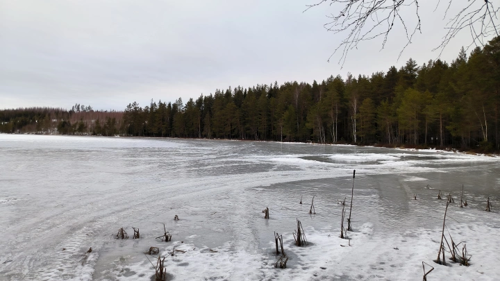Смотрим на прогноз: Зимой Россию может ждать катастрофа. Условия назвал биолог