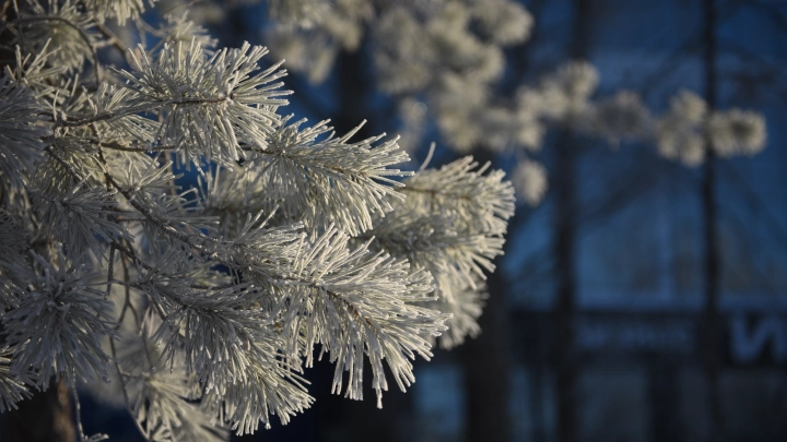 Ночь на 18 февраля станет самой холодной за год в Москве и Подмосковье