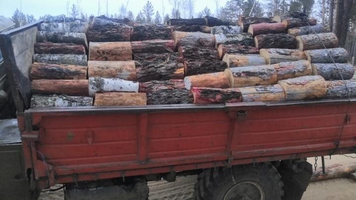 Забайкальцам рассказали, где и как можно купить дрова