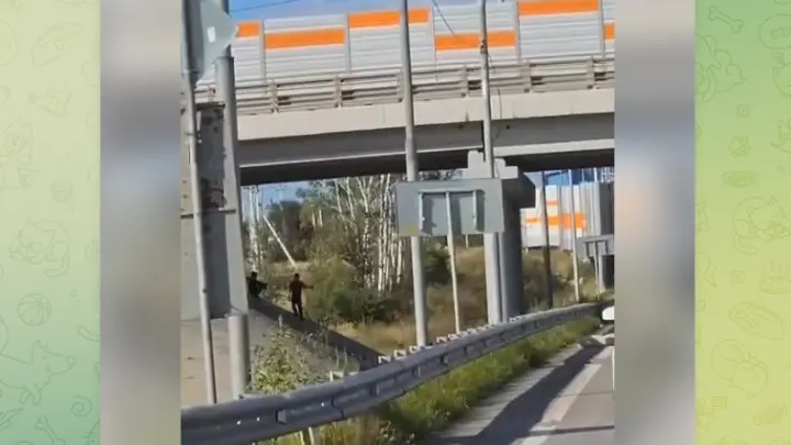 Опасная забава в Истре: дети повесили тарзанку прямо у ЦКАДа