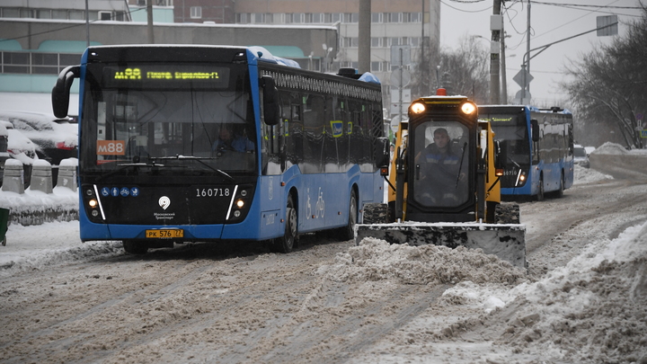 В Екатеринбурге откроют движение по Зоологической улице