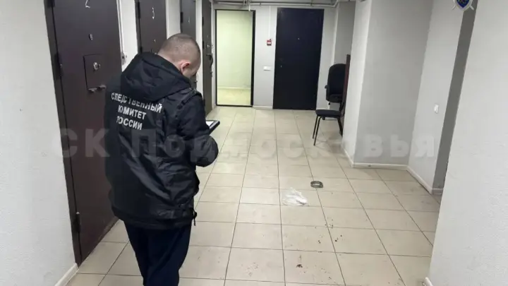 СК показал видео нападения подсудимого на конвоиров в суде Долгопрудного