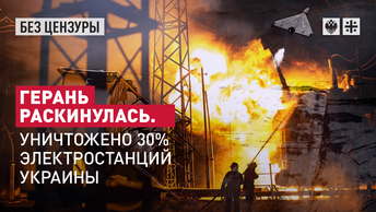 Герань раскинулась. Уничтожено 30% электростанций Украины