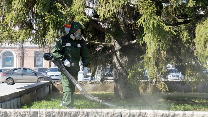 Опасно для здоровья: курганцев попросили три дня не ходить в парки Опасно для здоровья: курганцев попросили три дня не ходить в парки