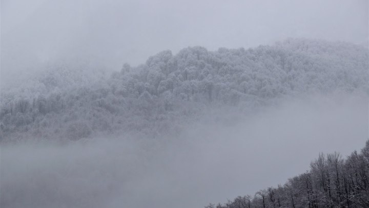 В Сочи часть русла в посёлке Каткова Щель расчистили, восстановление дороги продолжат в понедельник