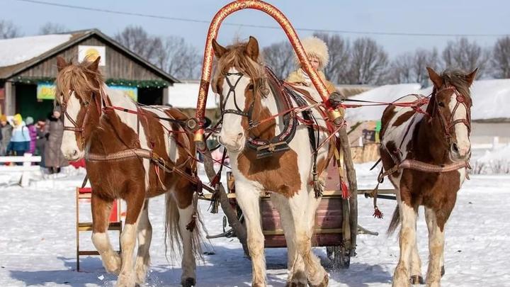 Фестиваль русской тройки пройдет во Владимирской области в выходные 4 и 5 февраля