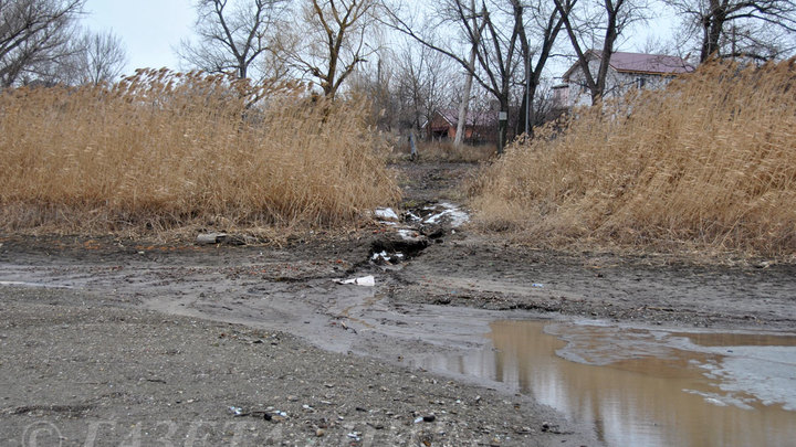 В Ростовской области в Северском Донце от нечистот уже гибнет рыба