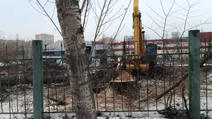 В Казани рубят яблоневый сад: Жители требуют от властей объяснений