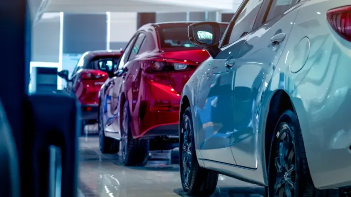 Грузия на страже санкций: Гражданам России и Белоруссии запрещён вывоз автомобилей