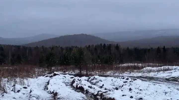 В Новосибирске жительница видела пару, похожую на Усольцевых
