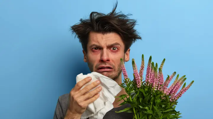 Окна на замок и очки не для стиля: врач раскрыла секрет выживания аллергиков в сезон