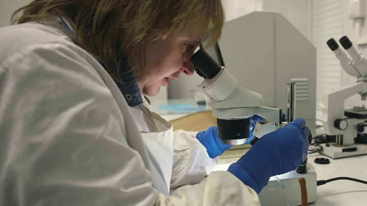 У оператора школьного питания в Сочи изъяли партию заражённой говядины