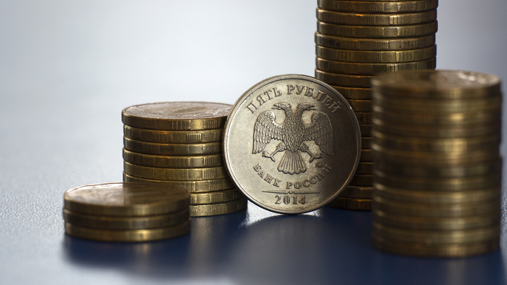 В какой стране подешевело?: Чиновникам Минтруда за идею снизить прожиточный минимум предложили зеркальные зарплаты